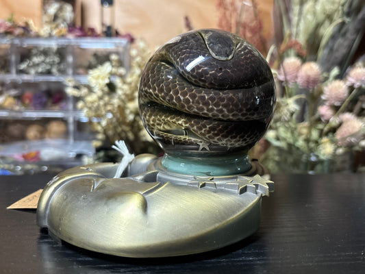 sunbeam snake in globe wet specimen