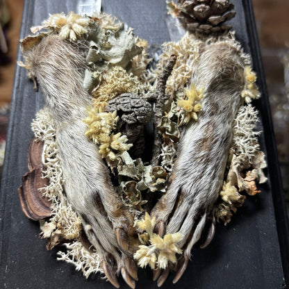raccoon feet wood plaque