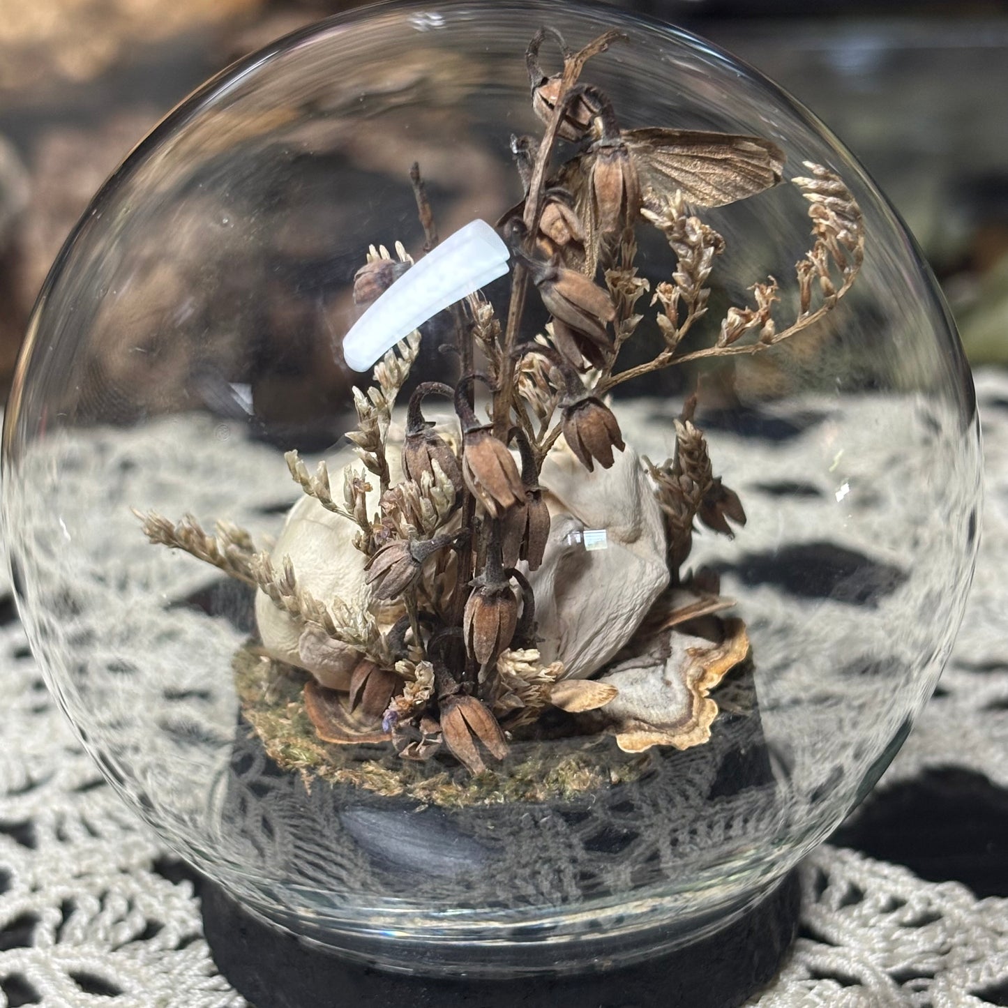 pinky opossum joey globe shrine