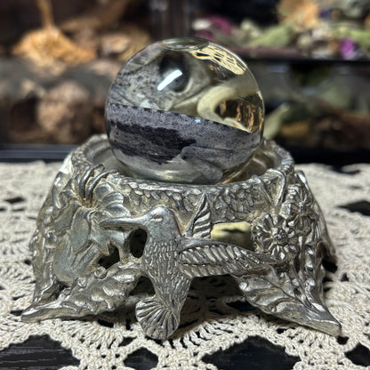 baby chameleon globe wet specimen