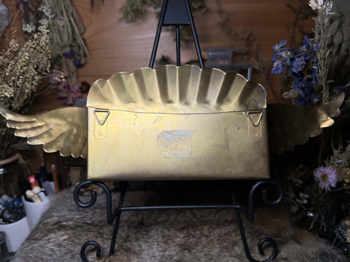 rabbit skull in angelic vessel