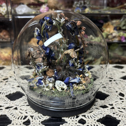 greenbottle blue tarantula globe shrine