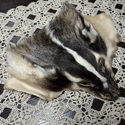 tanned face pelts & parts