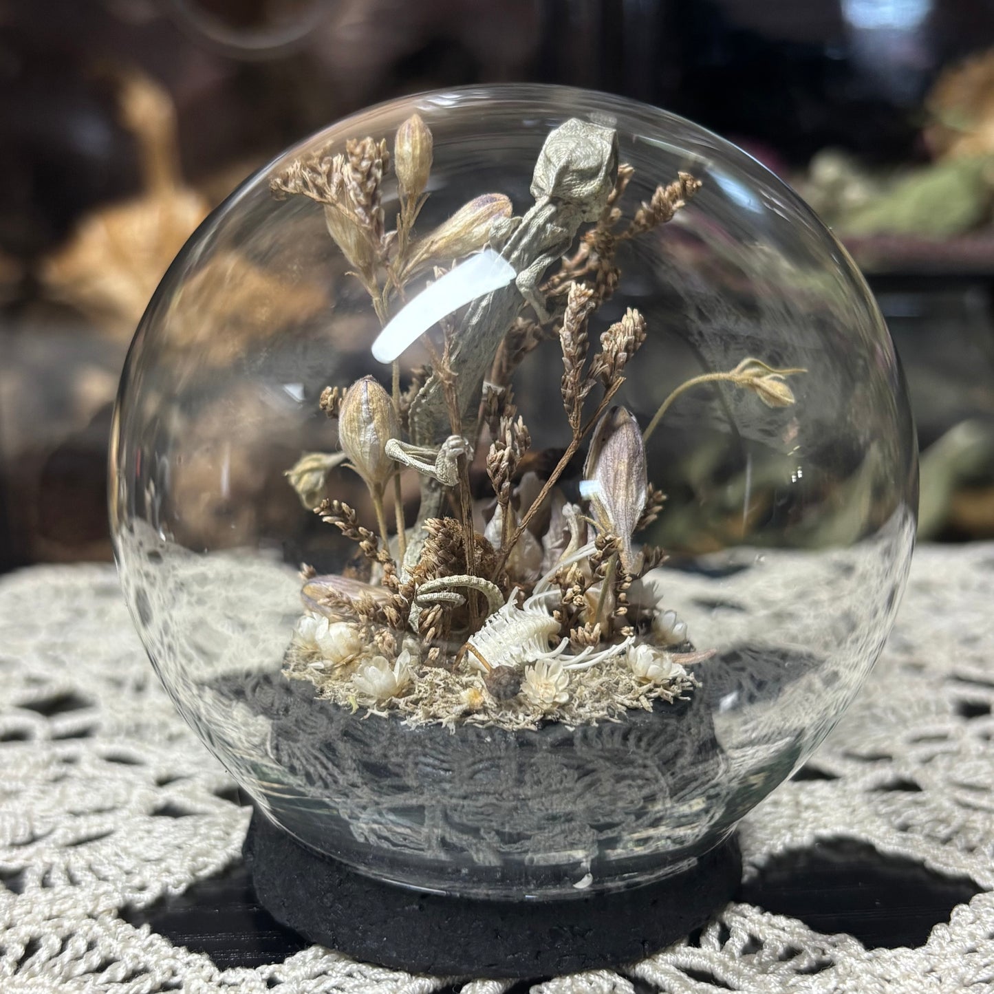 baby chameleon with mouse bones globe shrine
