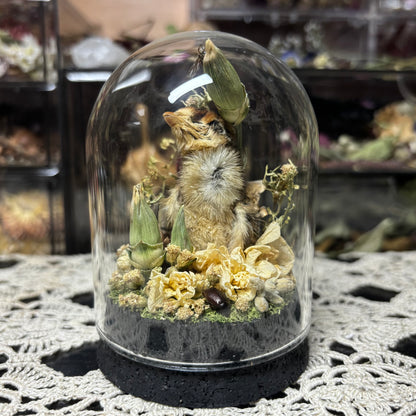 quail hatchling dome shrine
