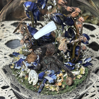 greenbottle blue tarantula globe shrine