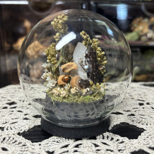 fire-bellied toad globe shrine