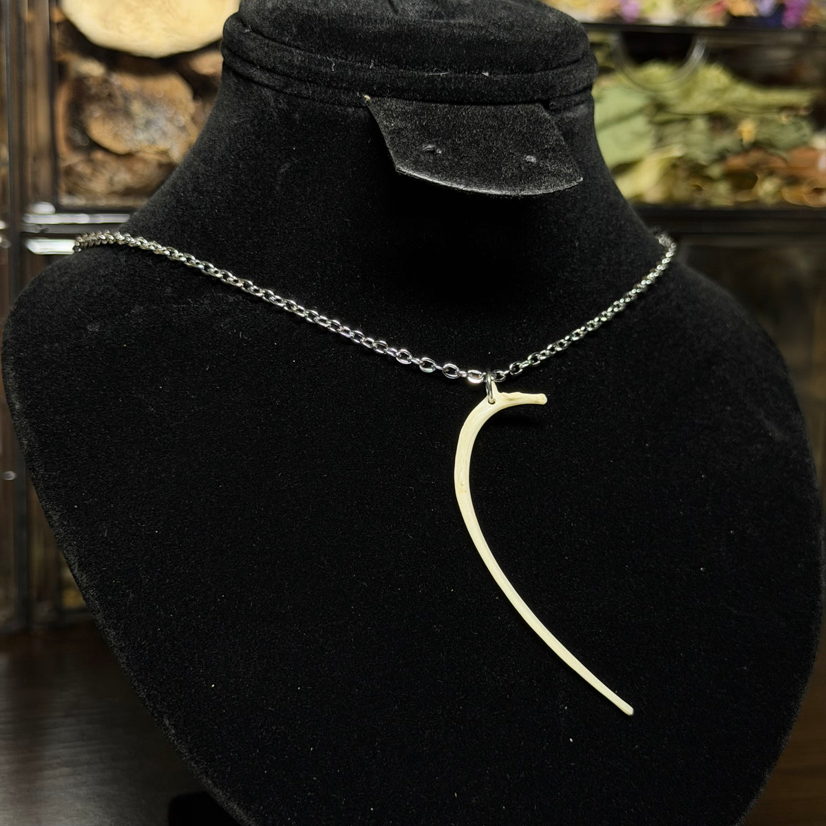 assorted bone necklaces