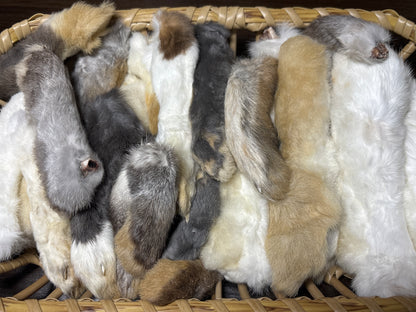domestic farmed bunny feet