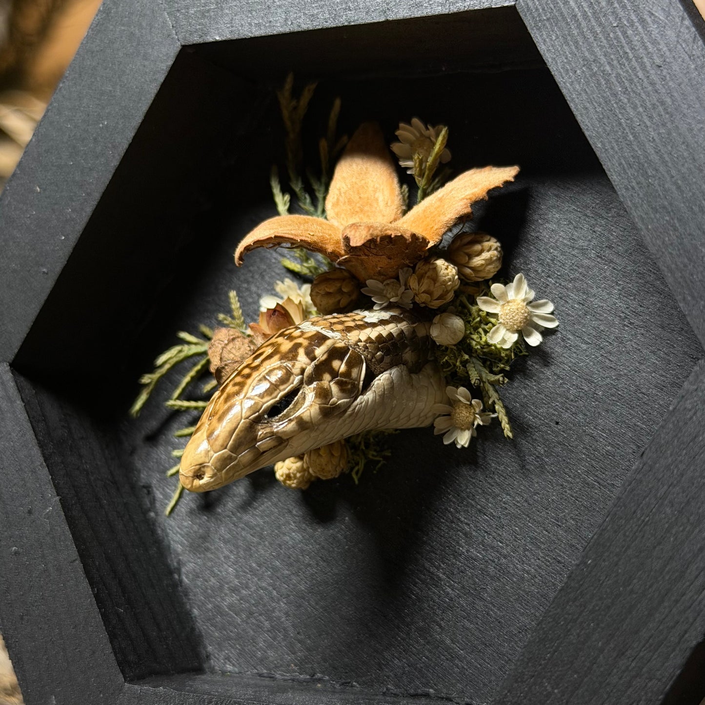 lizard head wood hex plaque
