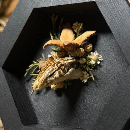 lizard head wood hex plaque