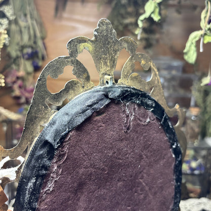 pink toned eyed silk moth vintage frame