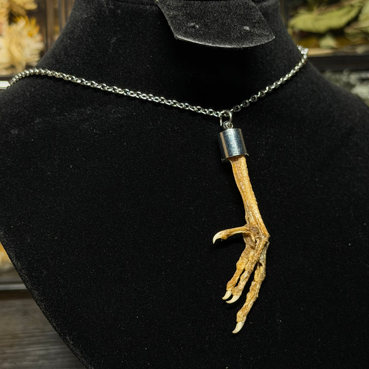 parrot foot necklace
