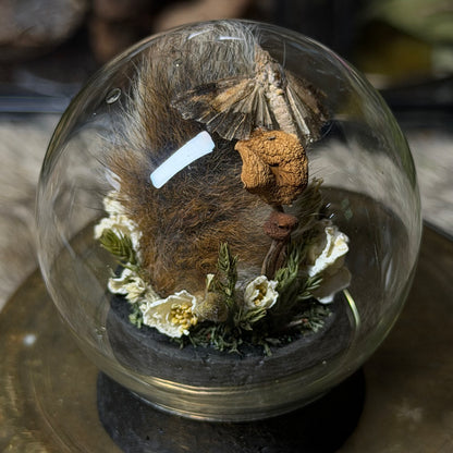 mummified rabbit tail globe cloche