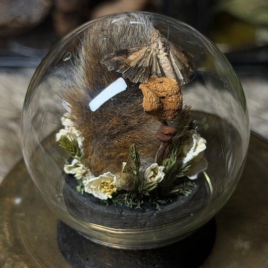 mummified rabbit tail globe cloche