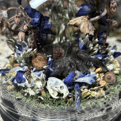 greenbottle blue tarantula globe shrine