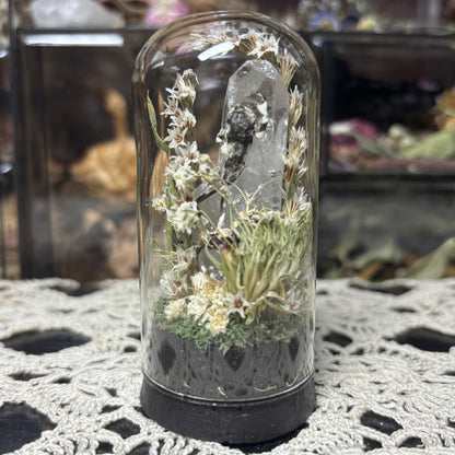 milk frog dome shrine