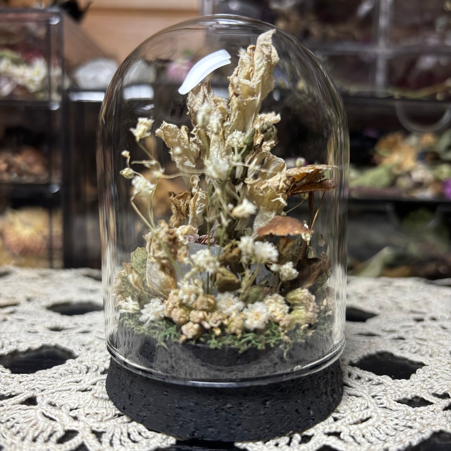 baby crested gecko dome shrine