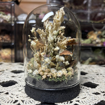 baby crested gecko dome shrine