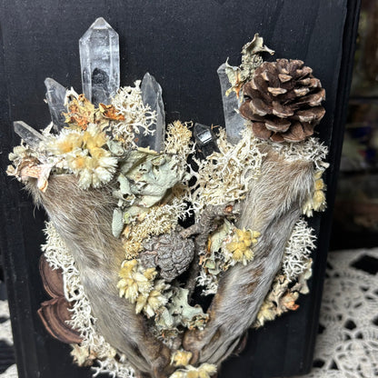 raccoon feet wood plaque