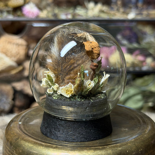 mummified rabbit tail globe cloche