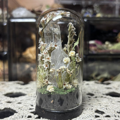 milk frog dome shrine