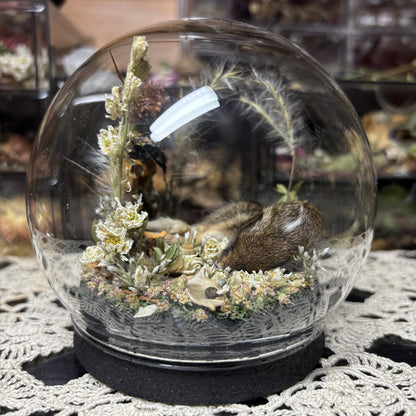 baby cottontail rabbit globe shrine