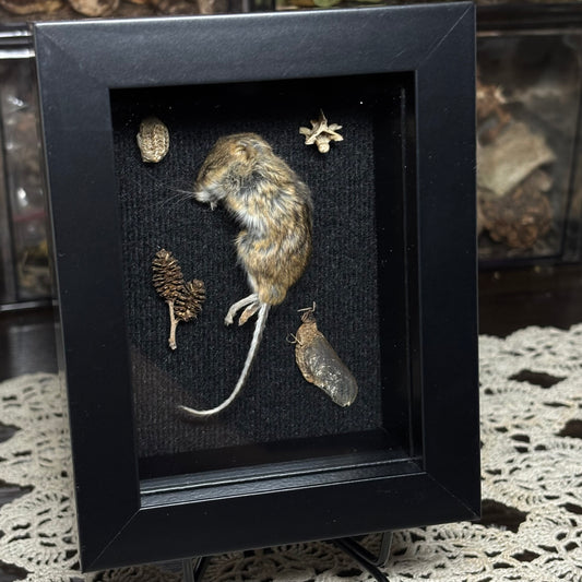 mouse & natural findings frame