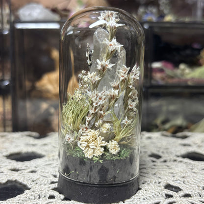 milk frog dome shrine