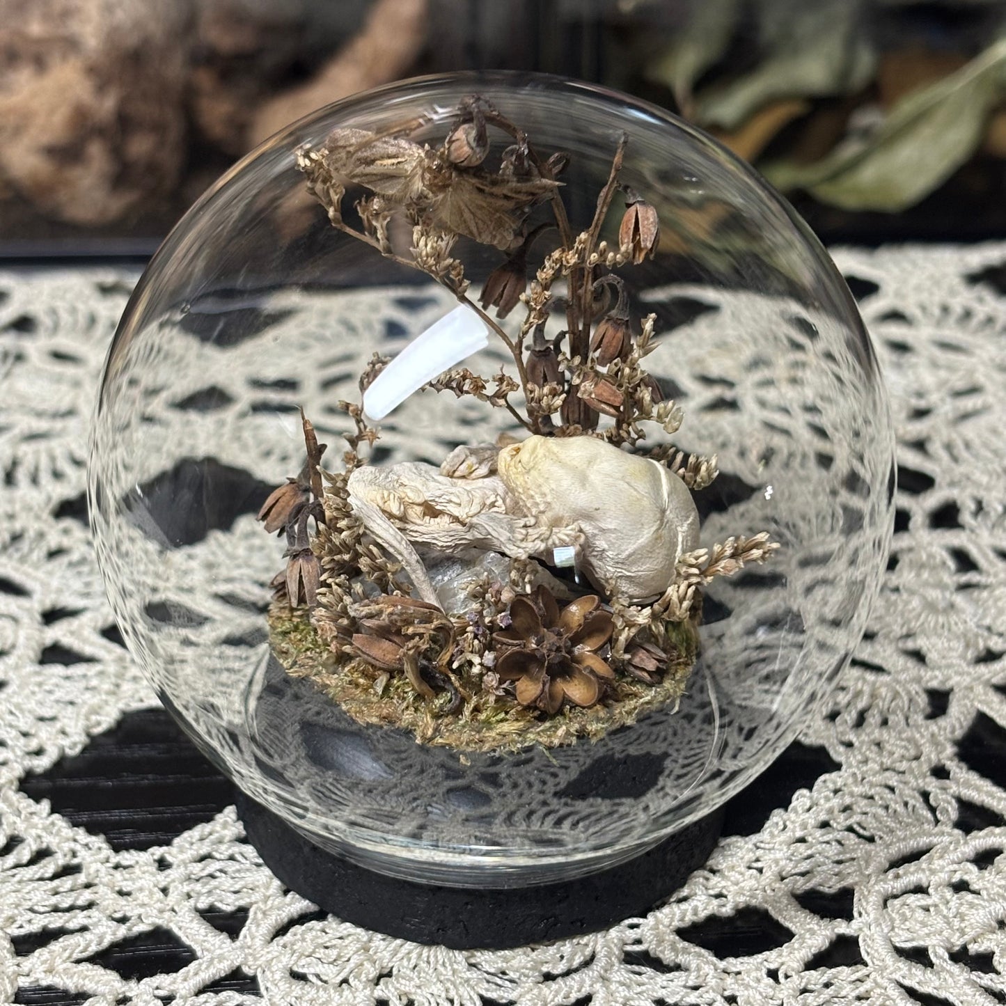 pinky opossum joey globe shrine