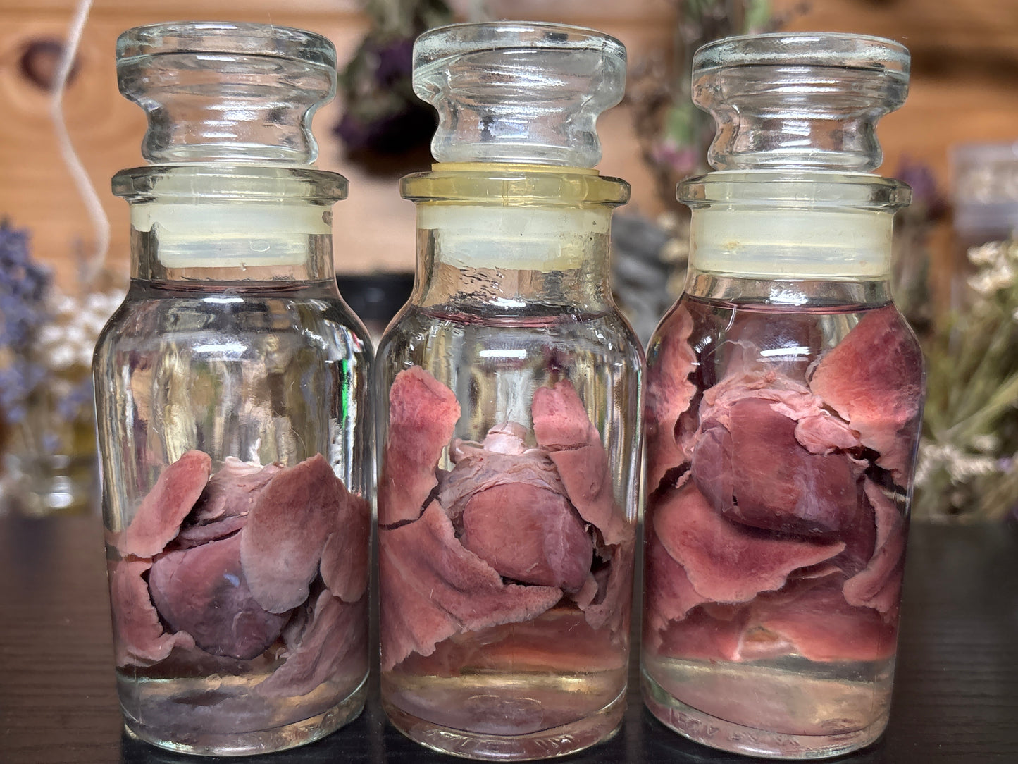 heart & lung sets wet specimens