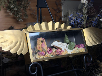 rabbit skull in angelic vessel