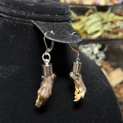 baby opossum paw earrings