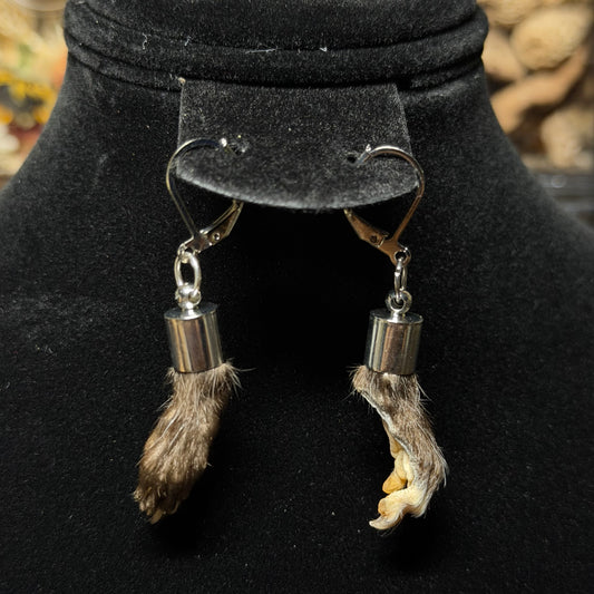 baby opossum paw earrings