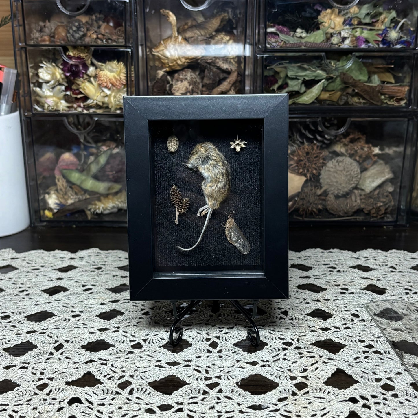 mouse & natural findings frame