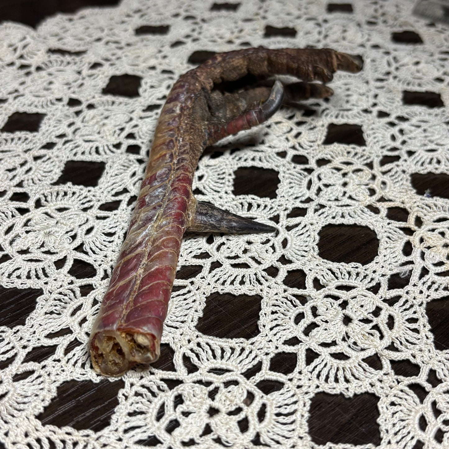 dried turkey foot