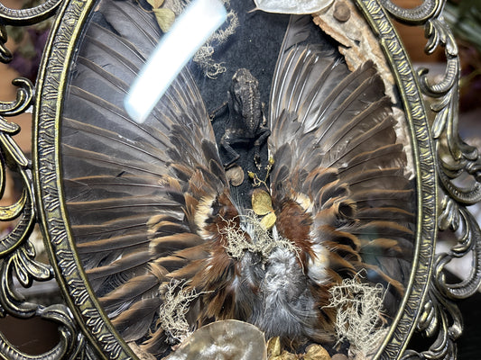 toad & sparrow wings ornate frame