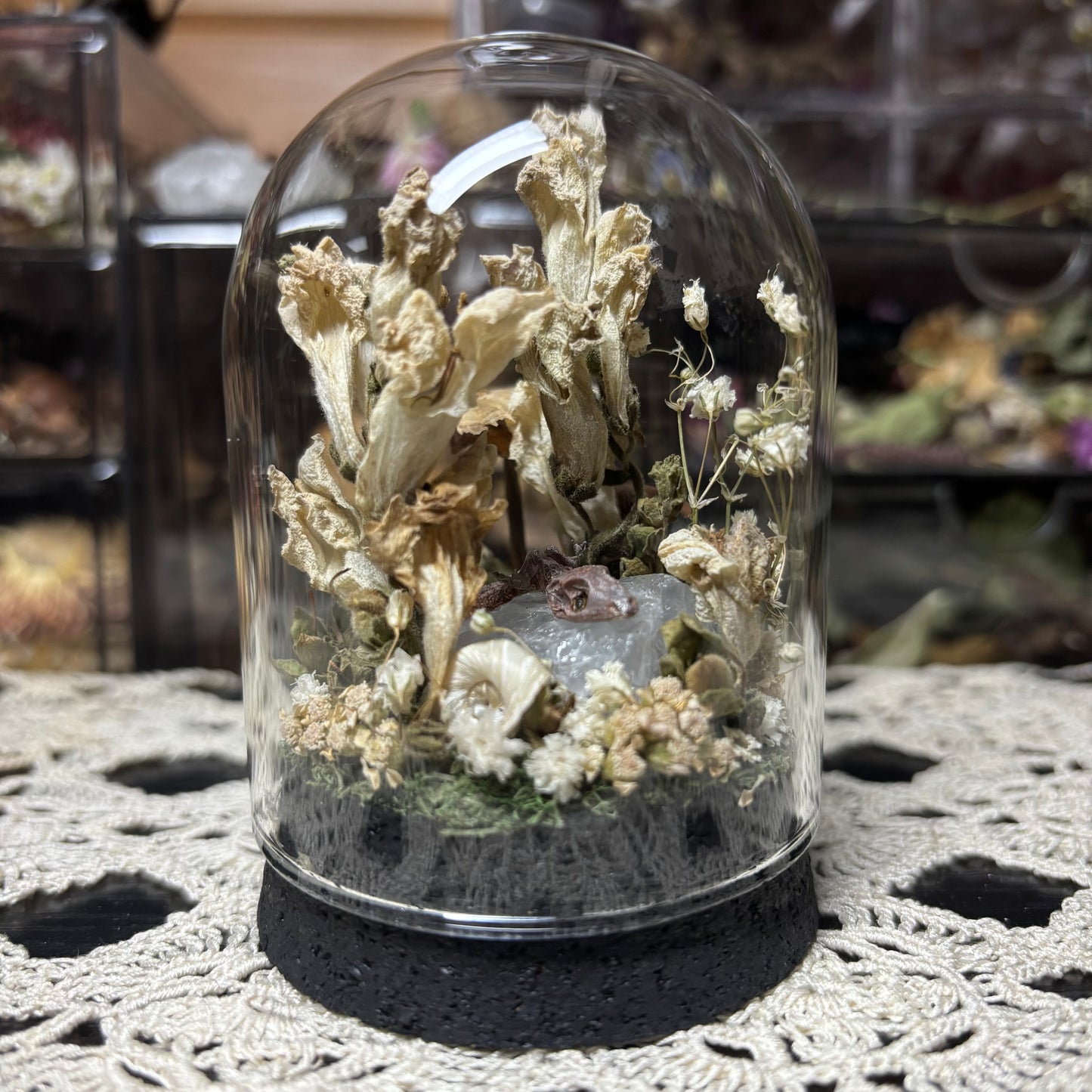 baby crested gecko dome shrine