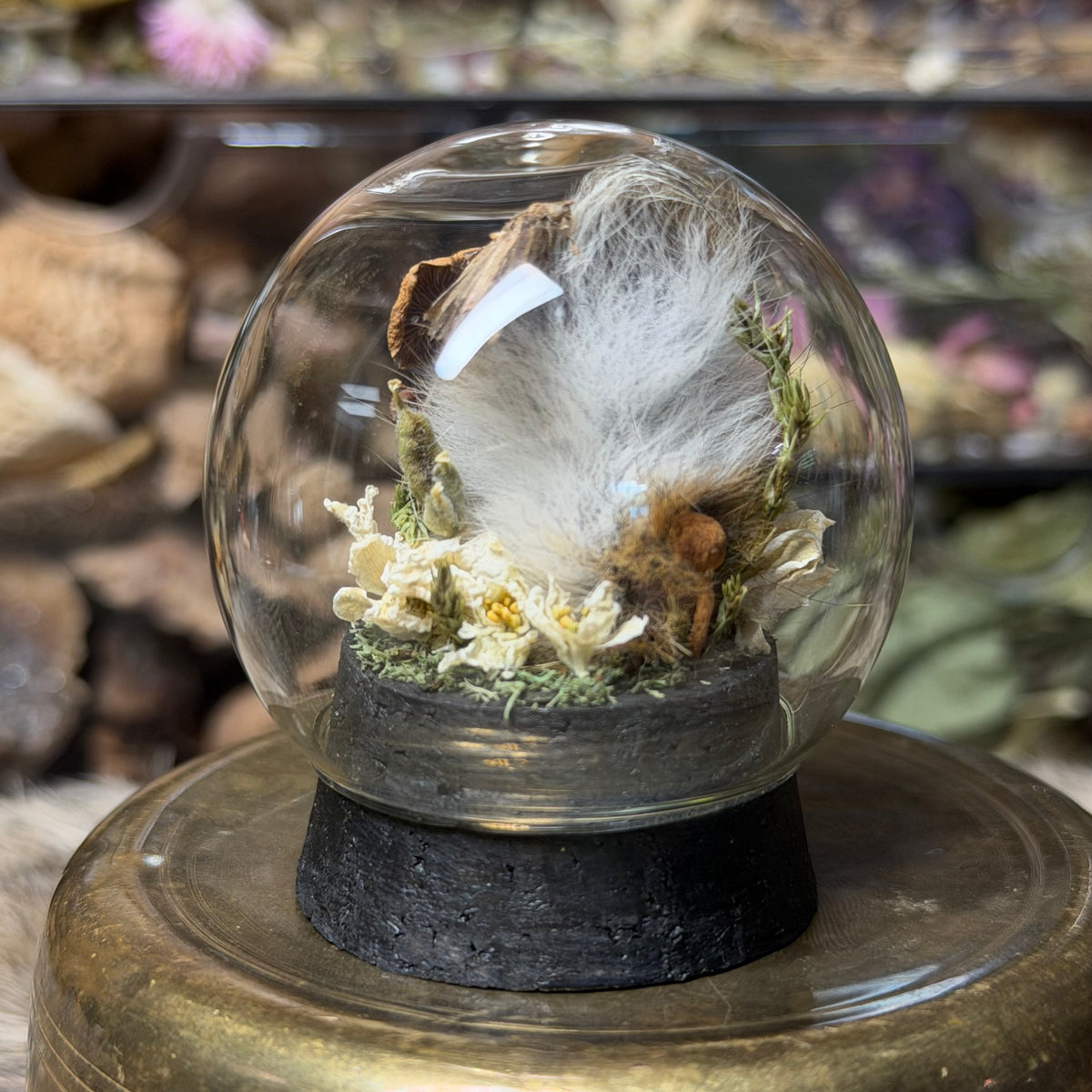 mummified rabbit tail globe cloche