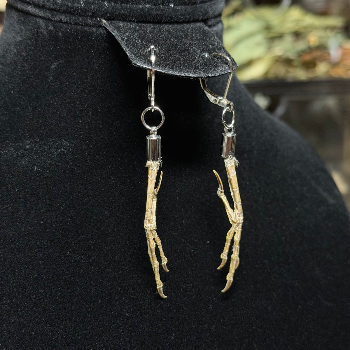 house sparrow feet earrings