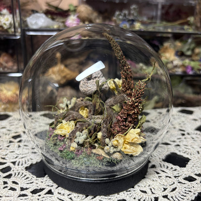 baboon tarantula globe shrine