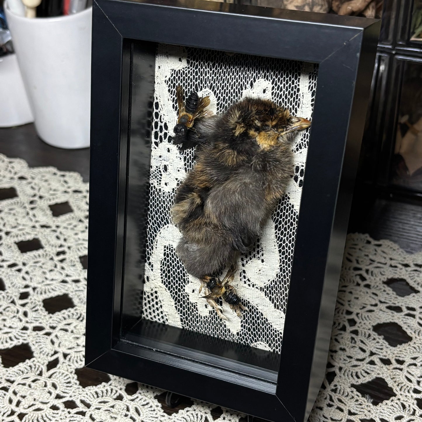 chick & resin bees frame
