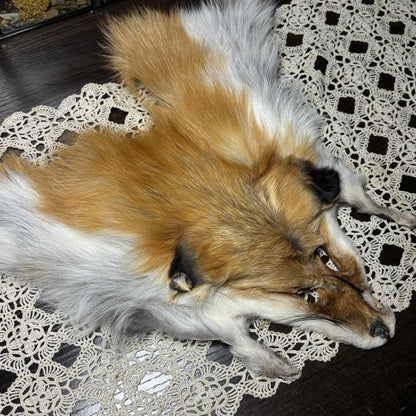 tanned face pelts & parts