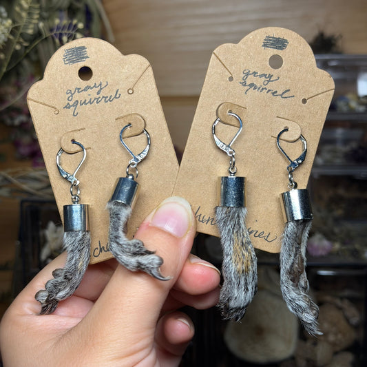 gray squirrel feet earrings