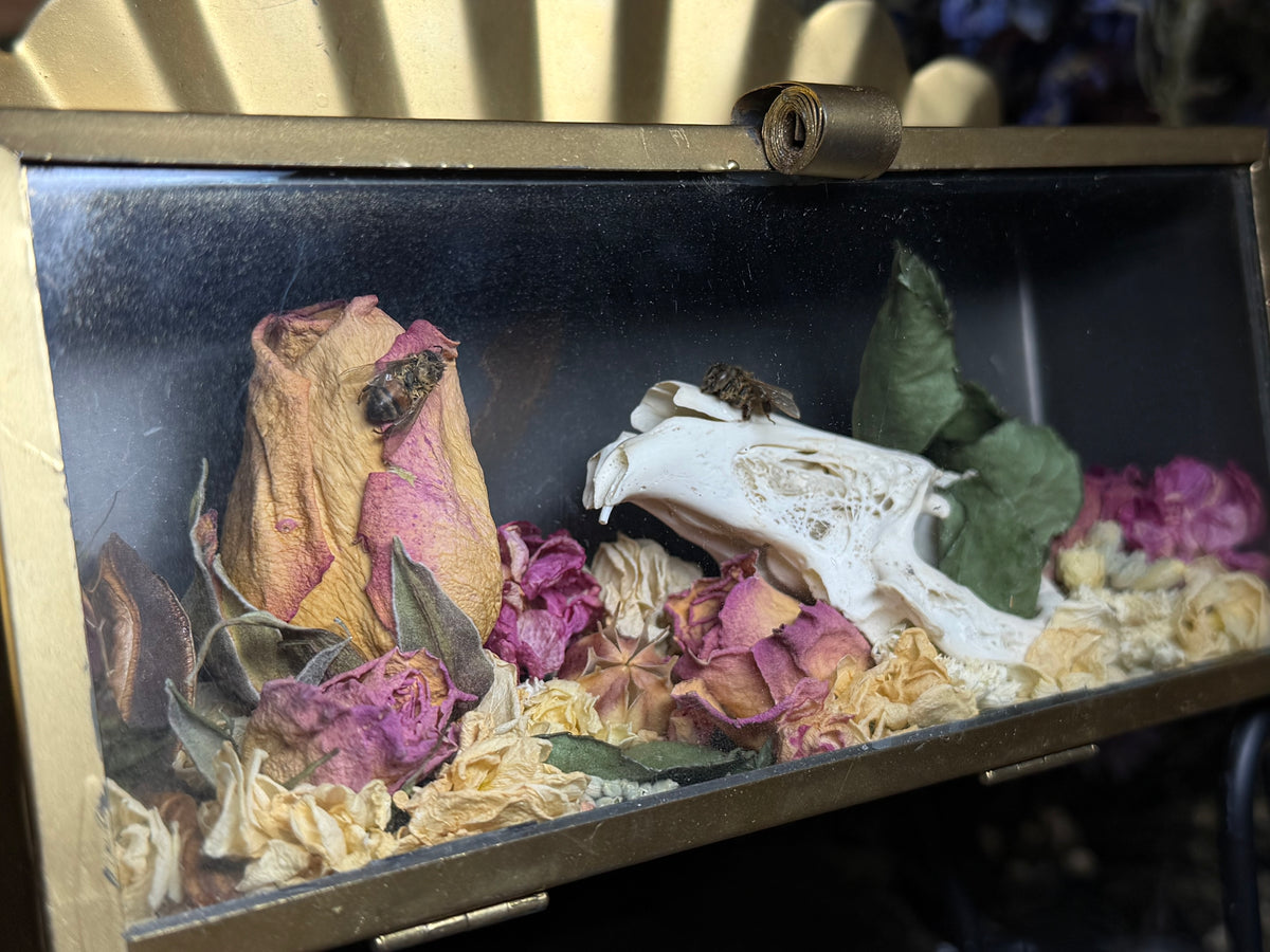 rabbit skull in angelic vessel