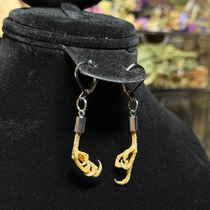 parakeet feet earrings