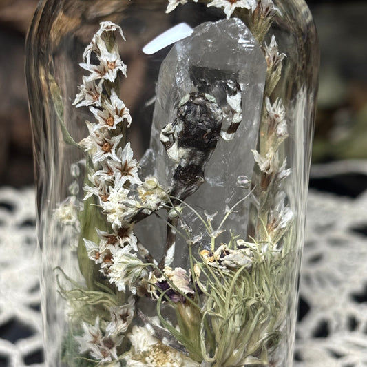 milk frog dome shrine