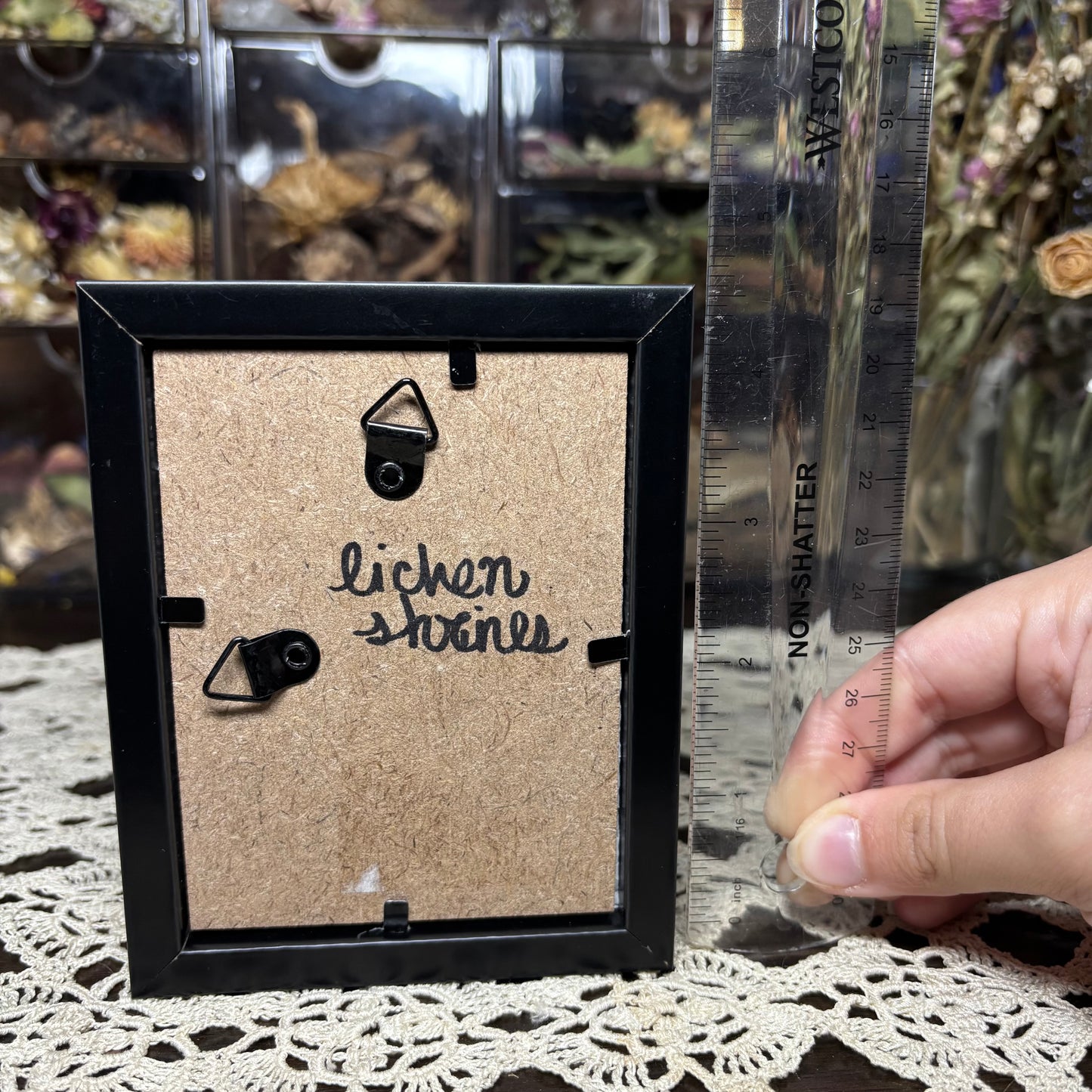 mouse & natural findings frame