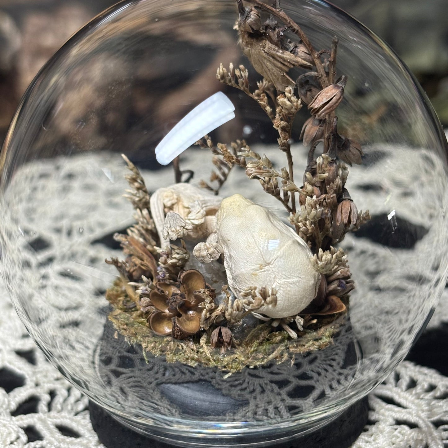 pinky opossum joey globe shrine