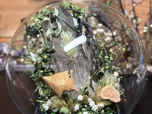 longhorn beetle globe cloche